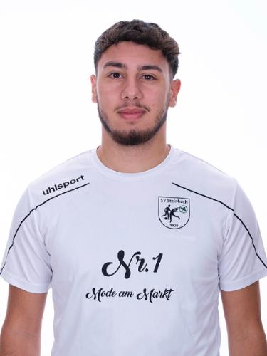 Esad Özkul