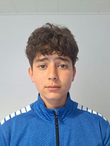 Tarik Yildirim
