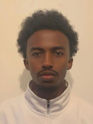 Mohamed Ahmed Ismail