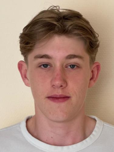 Michel Stalling