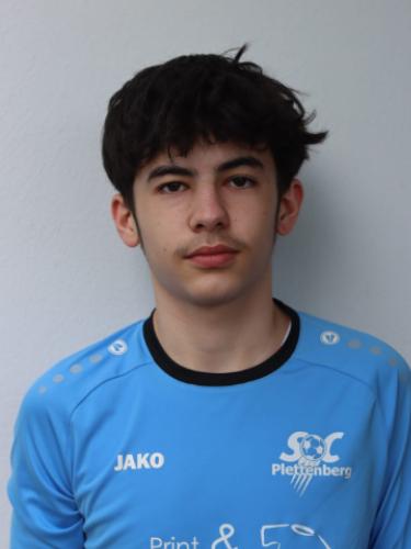 Erdem Dal