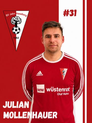 Julian Mollenhauer