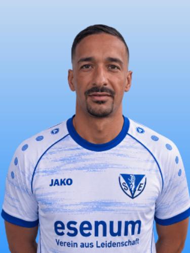 Pedro Tiago Mina Alves