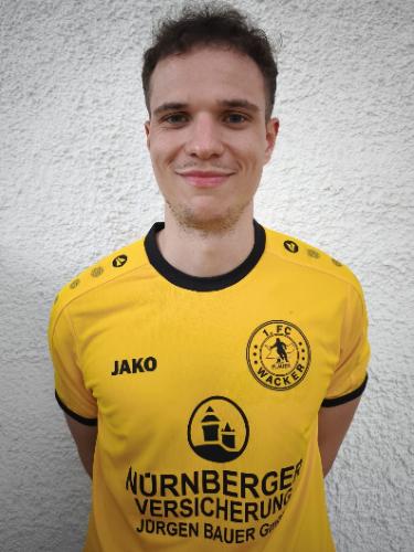 Leonardo Karliner
