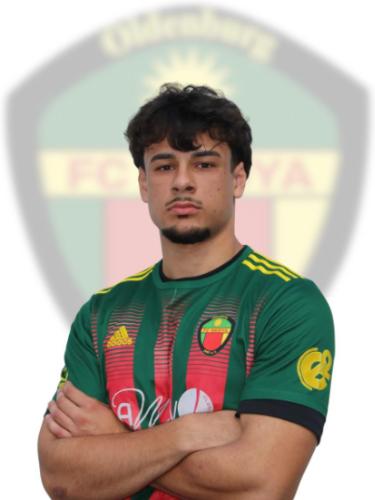 Baran Sönmez