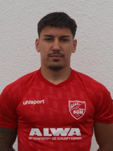 Rodrigo Vieira Silva