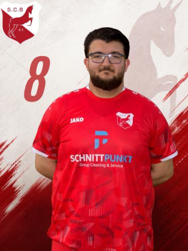 Mert Gedik