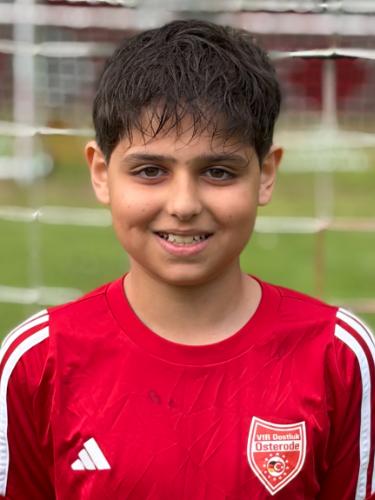 Ali Sajed