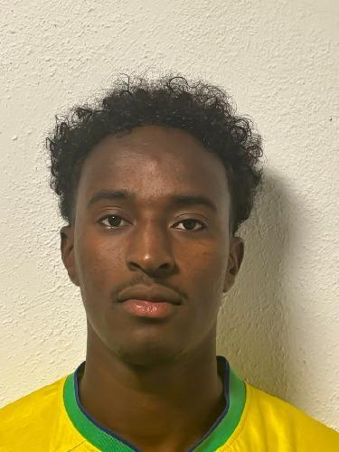 Anas Mohamed Ali
