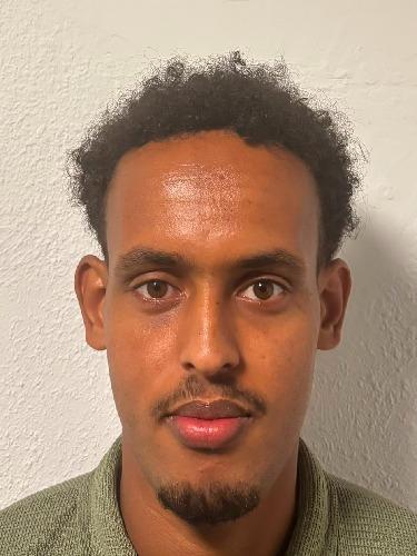 Sadik Hassan Mohamed Ali
