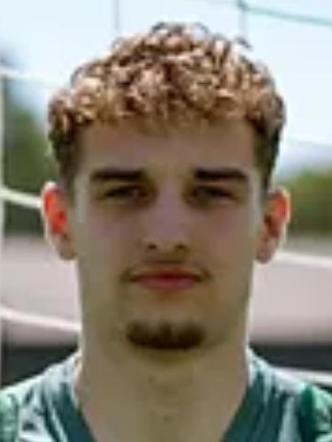 Nico Rink