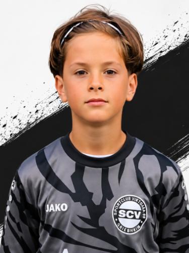 Aron Shevelli