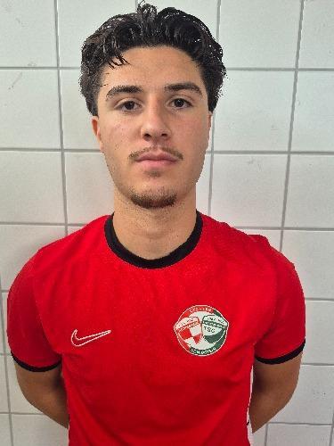 Danial Hosseini