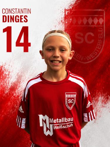 Constantin Dinges