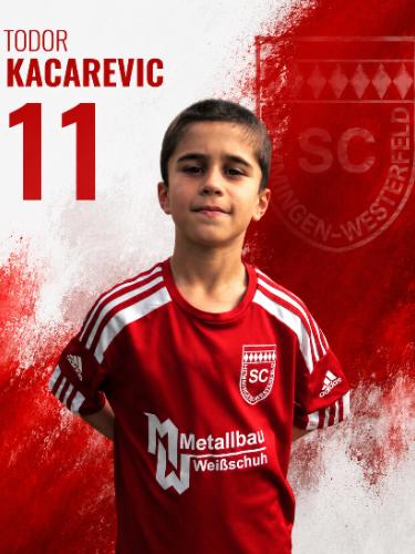 Todor Kacarevic
