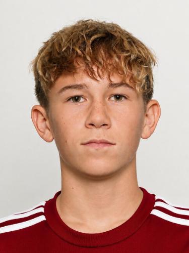 Laurenz Niklas Horn