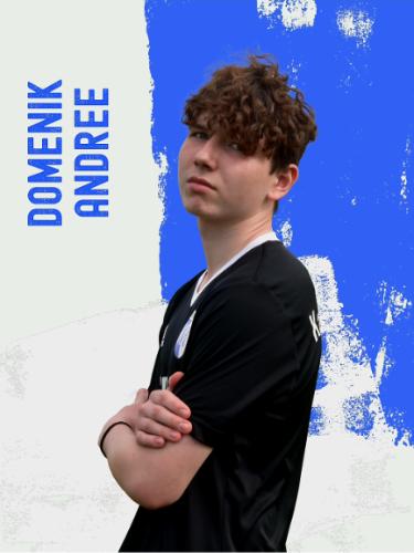 Domenik Andree