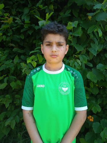 Berxwedan Robin Cevrim