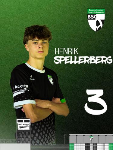 Henrik Spellerberg