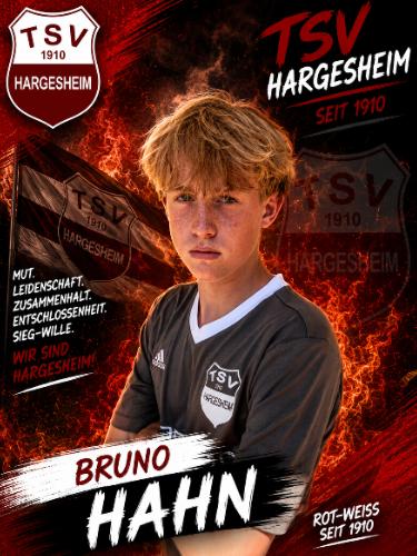 Bruno Hahn