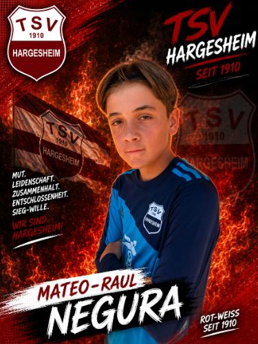 Mateo-Raul Negura
