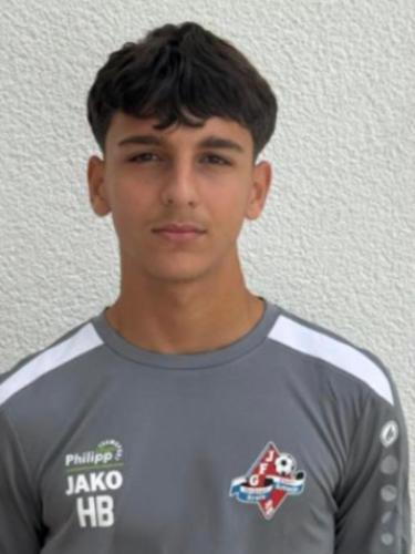 Hamza Amin Basha
