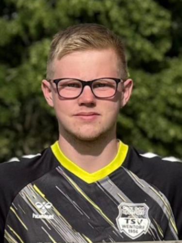 Max Theodor Ulrich Limberg