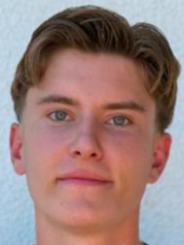Niklas Hemmel