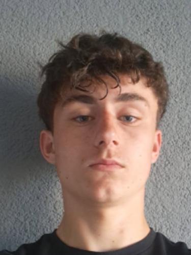 Domenik Heise