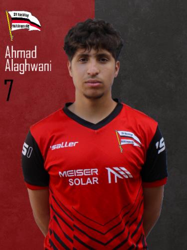 Ahmad Alaghawani