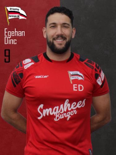 Egehan Dinc
