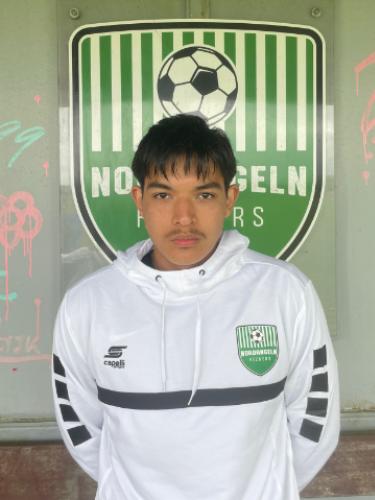 Mohammad Matin Alemi