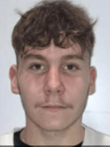 Dominik Siebert