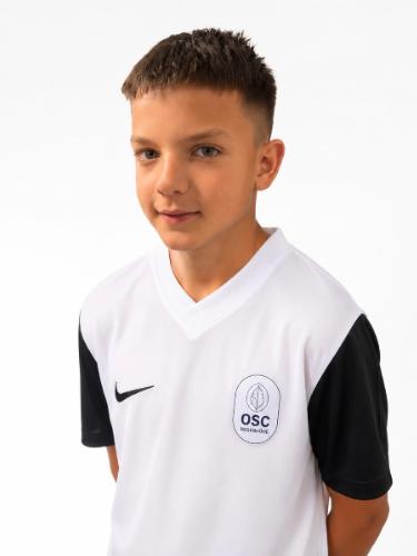 Darko Davidovic
