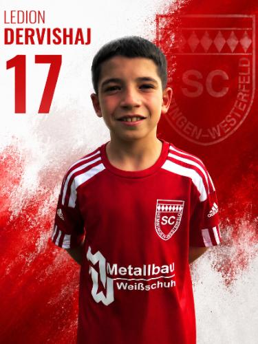 Ledion Dervishaj