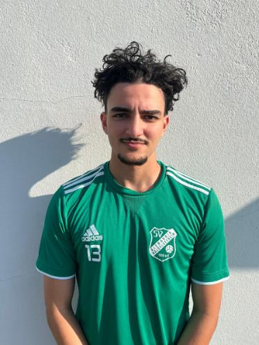 Aiman Abdelaali