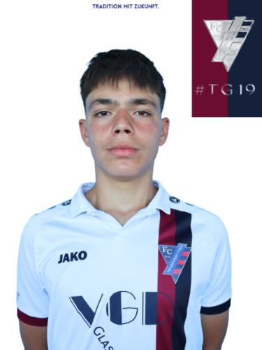 Tudor Gabriel Goga