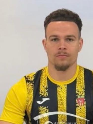 Dino-Samuel Kurbegovic