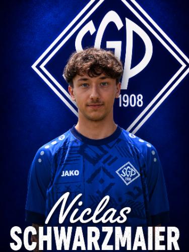 Niclas Schwarzmaier