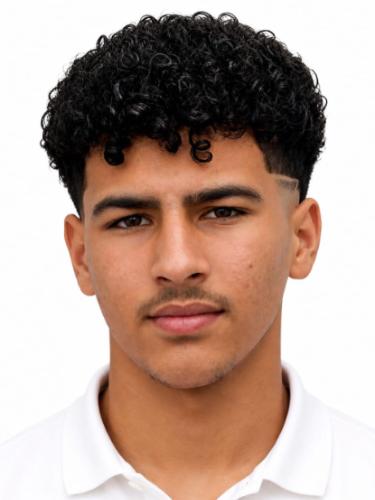 Mahmoud Almashour