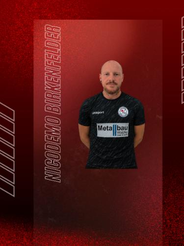 Nicodemo Birkenfelder
