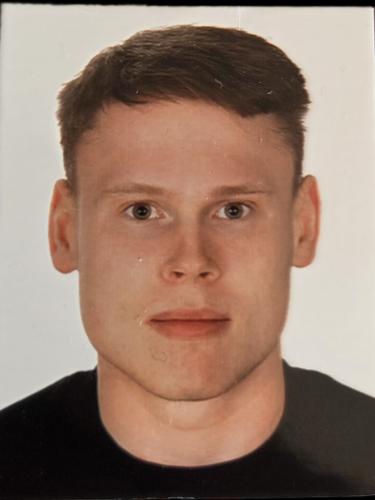 Henning Pommerehne