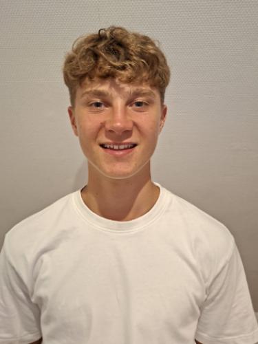 Niklas Haller