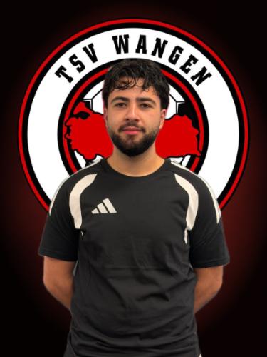 Alper Yerlikaya