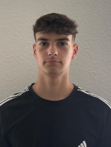 Luka Nemanja Milovanov