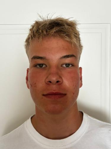 Oskar Ahlemann