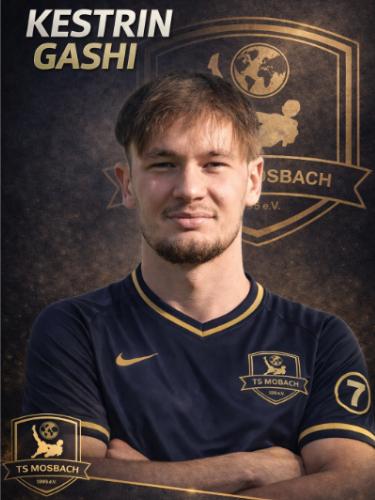Kestrin Gashi