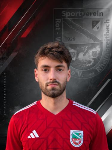 Nico Stefan Wolter