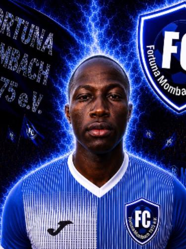 Ahmadou Tall