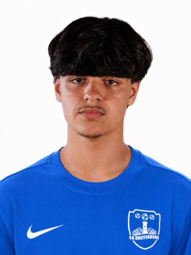 Taha Gürlek